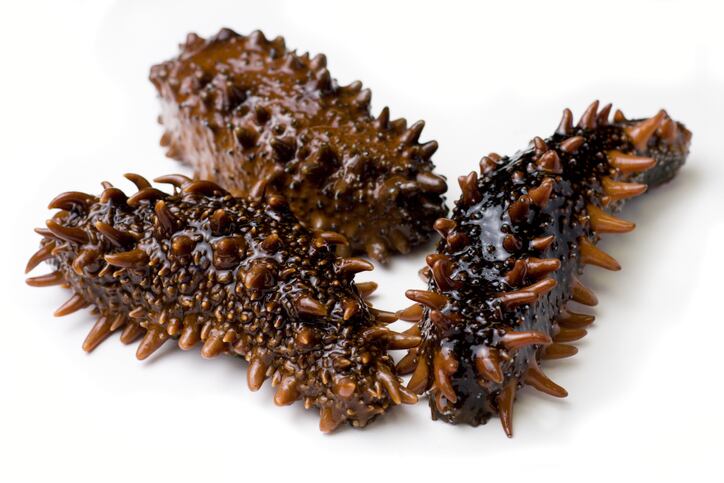 Sea cucumber collagen has ‘excellent’ moisturising properties: Study