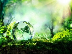 sustainability, eco, green
