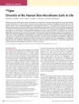 Diversity of the Human Skin Microbiome Early in Life