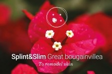 Great bougainvillea active cells for a slimming and firming effect