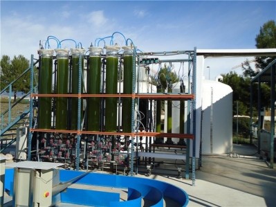 New photobioreactor makes microalgae cultivation easier for the industry