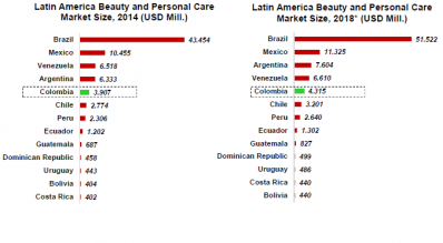 Latin American beauty market, by country