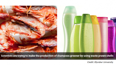 From waste prawn shells to shampoo - scientists develop new polymer