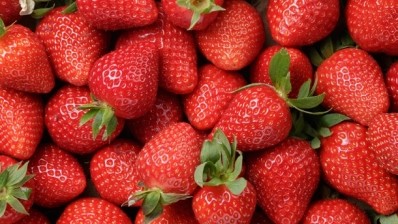 As soft as a strawberry? Seed extract moisturising properties proved