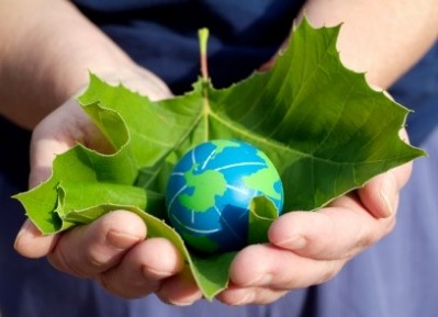 Companies should embrace and utilise sustainability initiatives… because it’s not going away