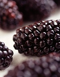 Anthocyanins give blackberries their dark purple colour