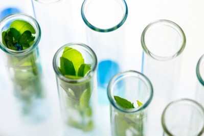 Givaudan tips growth for ingredients developed with green biotech. ©GettyImages