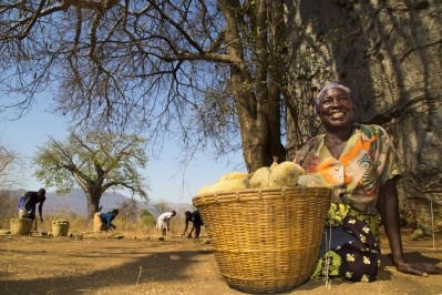 FairWild works with Zimbabwe baobab producer B'Ayoba to source organic, sustainable and ethical baobab ingredients and hopes to expand certifications further (Photo: FairWild Foundation)