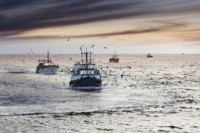 The majority of the world's marine ingredients are destined for fishmeal or animal feed but nutraceuticals and cosmetics, whilst smaller, are higher-value applications (Getty Images)