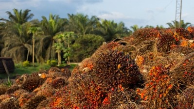 Symrise teams up to launch palm oil project