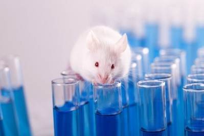UK government bans animal testing licences for cosmetics - activists say it’s not enough