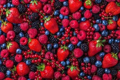 Researchers explore the pathways to berry health benefits 
