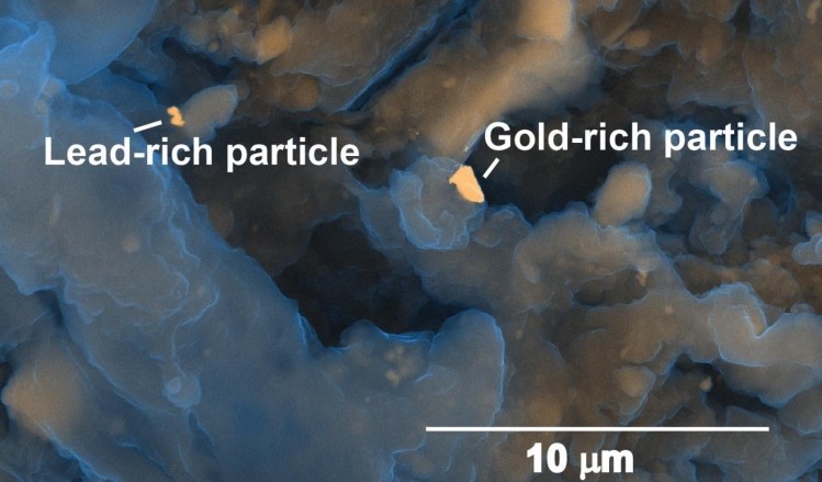 Microscopic gold-rich and lead-rich particles in a municipal biosolids sample