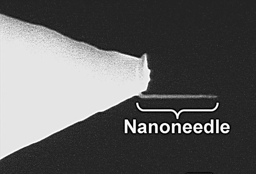 Electron microscopy image of a nanoneedle grown on an AFM tip