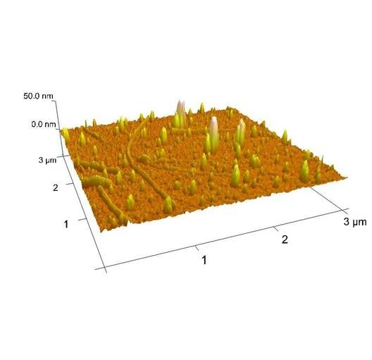  Nanostructured surface with detection elements (Source: IPTC, Universty of Tübingen)