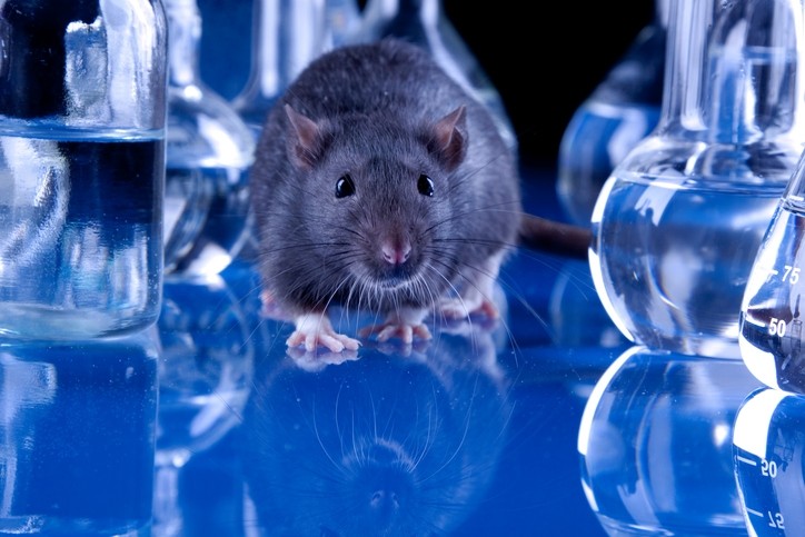 Alternatives to animal testing for next generation ingredients
