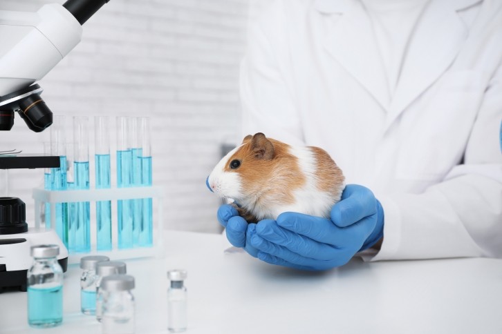 The European Commission has introduced a new roadmap to fully phase out animal testing in Europe (Image: Getty)