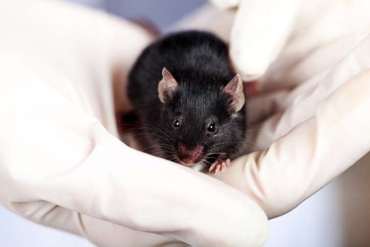 BASF and Givaudan team up on animal testing alternatives
