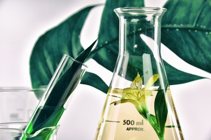 Givaudan launches new active cosmetic ingredient based on marine biotech