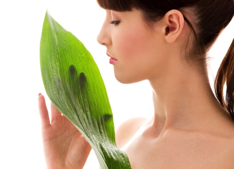 Greener surfactants and better sustainability: how green formulation is transforming hair care