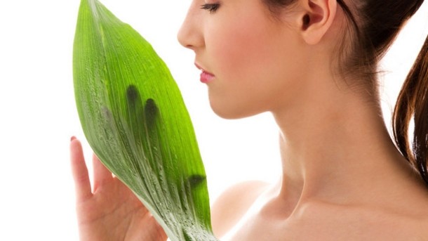Green beauty survey results revealed: Formula Botanica 