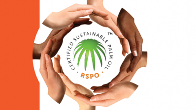 RSPO: communication improvement supports sustainable palm oil development