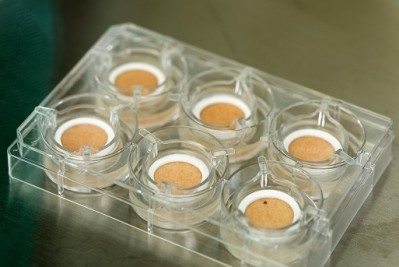 Biotech firm offering cosmetic companies an alternative to animal testing to open in US