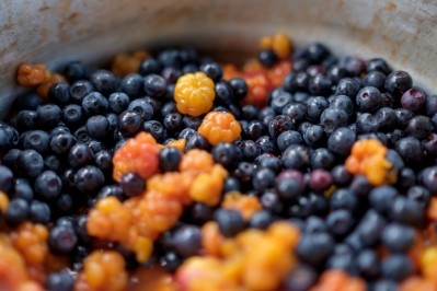 Husks of berries can have antimicrobial effect in cosmetics