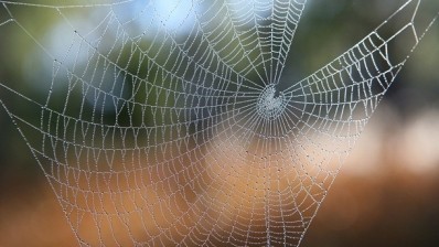 Spider silk ingredient available for first time as cosmetics ingredient