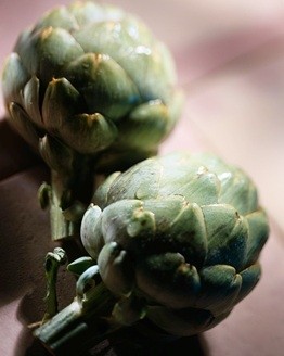 Silab jump on the artichoke bandwagon with its new anti-ageing active