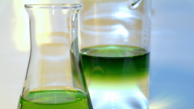 Scientists transform algae oil into chemical raw materials