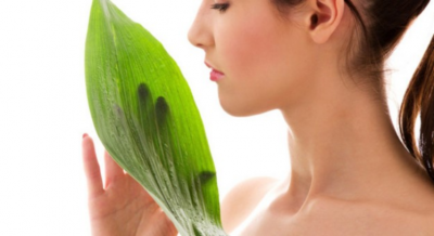 Organic and natural beauty products market reaches all-time high