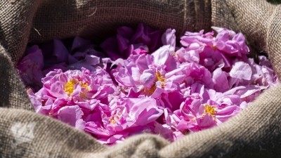 Lancôme says it is primed to launch its first zero-waste rose active ingredient next year and will continue to advance forward with 'unique and holistic' science (Image: L'Oréal/Lancôme)