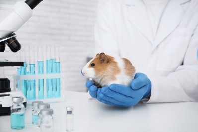 European Commission shares its action plan to phase out animal testing
