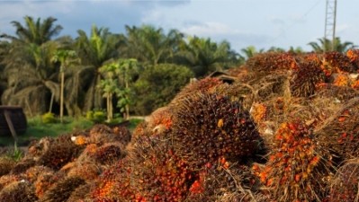 Palm oil: annual European Roundtable opens its doors next week