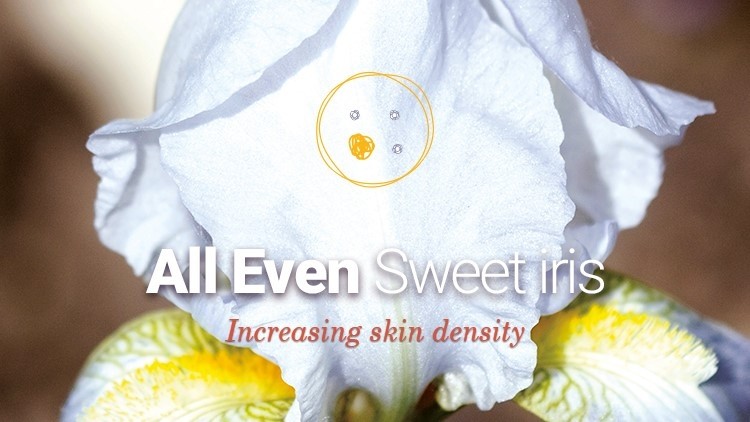 Naolys active cells from Sweet iris for an anti-wrinkle effect