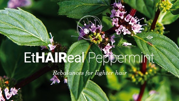 Peppermint active cells to combat oily hair and scalp