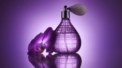 The application of orchid scents in beauty products has yet to be fully explored and developed. ©Getty Images