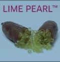 Lucas Meyer Cosmetics presents Lime Pearl