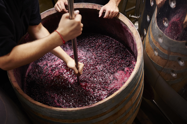 Barrel of grapes being made into wine